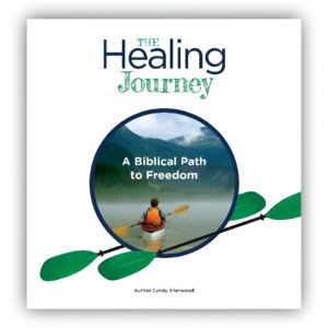 Healing Journey for Men MP3 Lessons